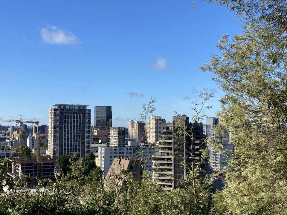 Vista panorámica de Concepción