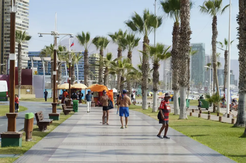 Paseo costero con palmeras en Iquique